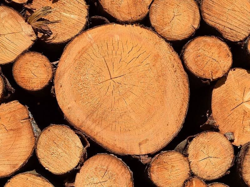 Grumes de pin sylvestre PEFC – camion de 60 m³
