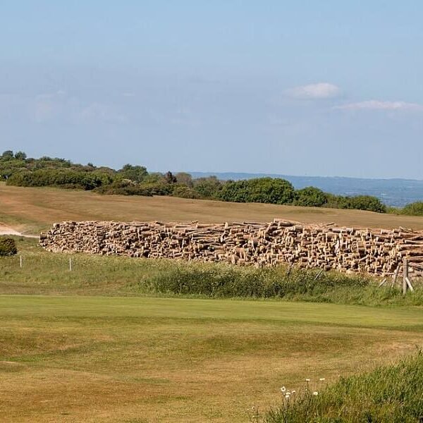 Grumes de hêtre sec – camion de 60 m³